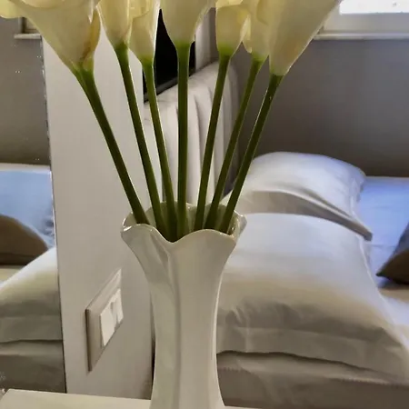 Διαμέρισμα Central Apartment Tirana